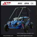 Hammerhead Mini 50 Kids off Road Buggy From China